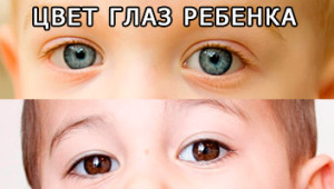 Коли з'являється колір очей у новонароджених. Коли у дитини змінюється колір очей. Чому це відбувається.