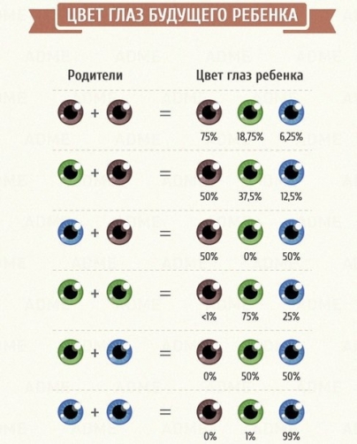 Чому у дитини блакитні очі якщо у батьків карі. Хто впливає на колір очей дитини? Якщо у мами - блакитні, а у тата - зелені