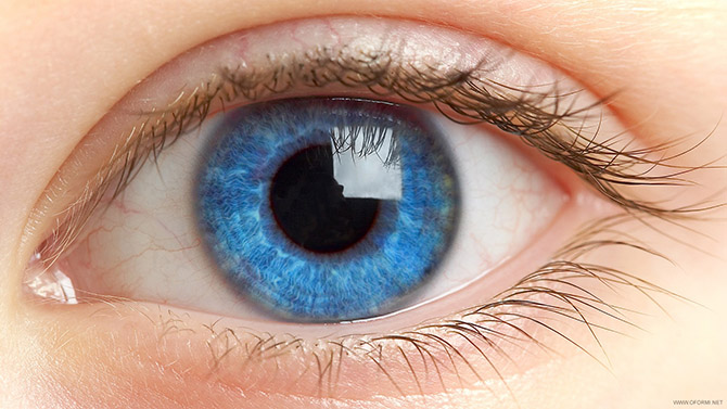 Цікаві факти про очі і зір людини. Цікаві факти про очі людини