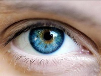 Чому в сутінки поганий зір. Куряча сліпота або невидимі вечора під «знаком» гемеролопіі.
