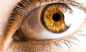 Блакитні очі від природи. Який колір очей найрідкісніший в світі? Я був здивований цим фактом