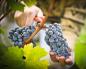 Як зробити вино з винограду в домашніх умовах: простий рецепт