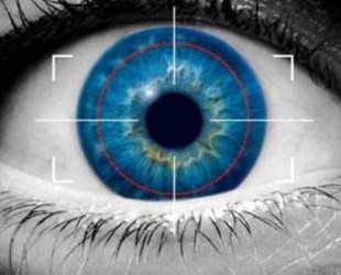 Людське око вікіпедія. Як працює око людини і від чого залежить його робота?