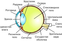 Šta je poenta na zenici oka. Simptomi bolesti u očima