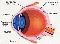 صدمه زدن به حرکت چشمها. اگر چشم شما صدمه ببیند چه باید بکنید؟ تشخیص و تشخیص افتراقی.