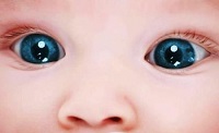 Koyu kahverengi gözler. Göz rengini nasıl belirlenir
