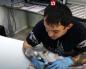 Što znači tetovaža mačke sfinge?