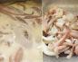 ماهی مرکب در ورشکوف برنج با ماهی مرکب و سس ورشکوف